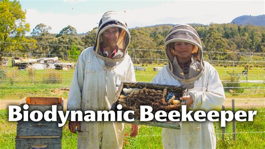 French Beekeeper Shows His Amazing Hives! - Biodynamic Beekeeping - Working With Nature and Cycles
