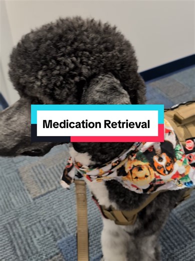 Psychiatric Service Dog Performs Medication Retrieval Task