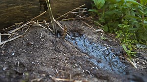 🌱 Fix Unwettable Soil with Seasol Super Soil Wetter & Conditioner! 💧 As summer approaches, avoid the common garden problem of unwettable soil, where water pools on the surface instead of soaking in. Seasol Super Soil Wetter & Conditioner is a wetting agent, soil conditioner, and plant health booster all in one! 🌿 Benefits: ✅ Improves water penetration and reduces soil drying. ✅ Maximizes water efficiency, saving water, time, and money. ✅ Boosted with Seasol for healthy roots and vibrant plant