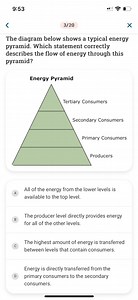 9:533/20The diagram below shows a typical energy pyramid. Wh... | Filo