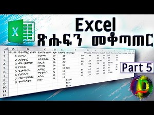 Excel - መሰረታዊ ጽሑፍ ማስተካከያ መንገዶች | Basic Text Formatting in Excel - Part 5 (Zizu Demx)