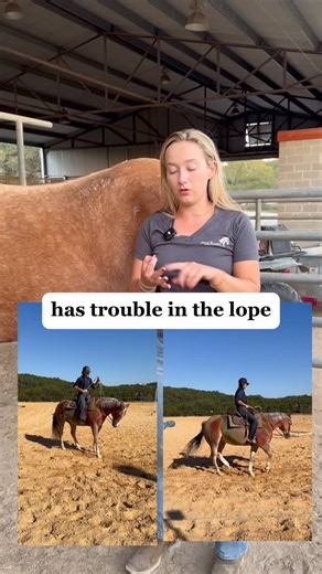 Equine Massage Therapist | Maija Luttinger on Instagram: "Here’s an easy stretch for your horse’s hind end that can make a big difference if they have trouble pushing off to jump or canter or have issues backing up. Follow me @freelyforwardbodywork for more happy horse hacks!"