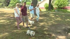 Double wedding: 2 sets of twins to tie the knot in Michigan