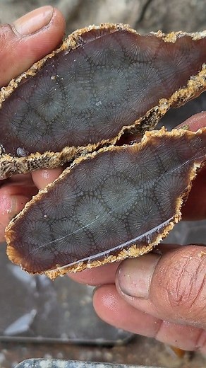 269K views · 4.4K reactions | Amazing flowers #gemstone #curving #jade #fosil #jewelry #gemstone #gems #amethyst #mineral #agatecollector #agate #art #fblifestyle | Supra Afrianto | Facebook