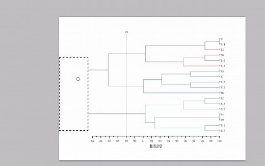 ORIGIN聚类分析-谱系图