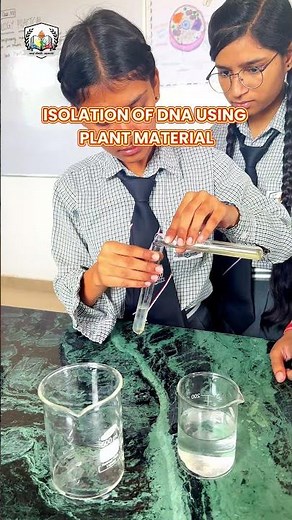 🧬🔬 Isolation of DNA Using Plant Material 🔬🧬