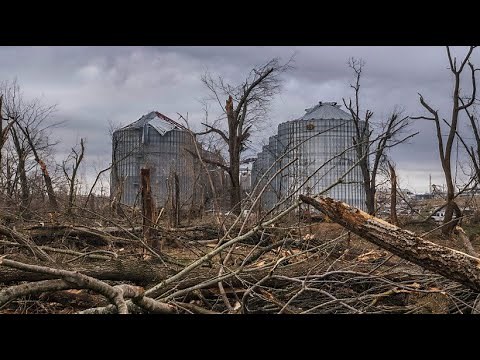 Videografik: So entstehen Tornados