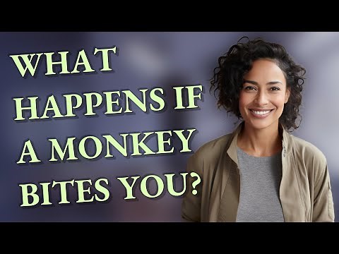 What happens if a monkey bites you?