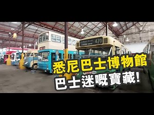 BusMe Channel | 巴士迷鐘意嘅悉尼巴士博物館 尋找古典香港巴士 | 巴士保育澳洲行 EP2 Sydney Bus Museum