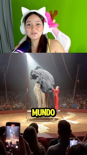 Ele sumiu o elefanteee 😨 #trending