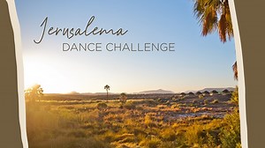 84K views · 5K reactions | Jerusalema dance challenge accepted! Gondwana Collection Namibia joined in on the fun and here’s our Palmwag Lodge and Camp team’s joyous take on it! Even our resident elephant, Jimbo, made an appearance! #jerusalemachallenge #namibia #africa #gondwanafamily #gondwanacollectionnamibia | Gondwana Collection Namibia | Facebook