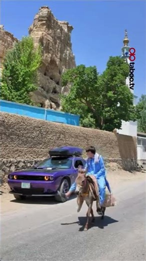 Donkey vs muscle car race: Who will win?