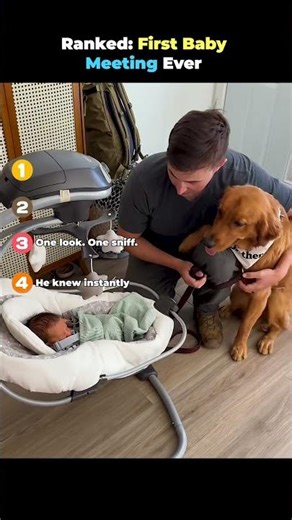 Ranked First Baby Meeting Ever