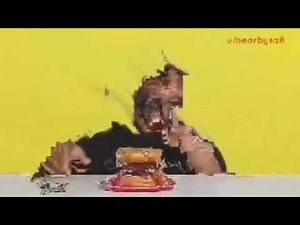 hamburger kid lag meme