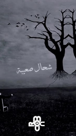 #fypシ #algeria #rap #rapdz16🇩🇿 #audioedit #viralvideo #rapmarocain