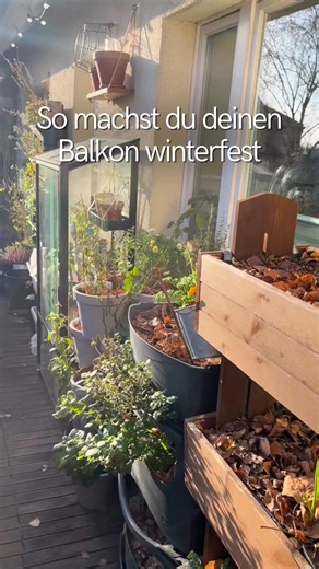 Balkon winterfest machen 🍂 Der Herbst kommt mit schnellen Schritten. Deshalb zeigt dir Deike vom @kuestenbalkon 3 Tipps, um deinen Balkon winterfest zu machen: 🍁Tipp 1: Beete mulchen Laub ist ein natürlicher Frostschutz für die Erde - es hält die Feuchtigkeit und schützt die Wurzeln und ist dabei noch kostenlos. Achte nur darauf, keine Eichenblätter verwenden, denn die verrotten nur sehr langsam und können den Boden versauern. 🍁Tipp 2: AquaBloom abbauen Damit die automatische Bewässerung auch