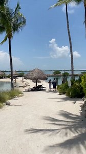 1.5K views · 44 reactions | Holidays at Hawks Cay are right around the corner, and that means 25 Days of Savings await! Warm up during this holly jolly season with this great offer at Hawks Cay. Book your getaway between now and December 25 to enjoy 25% off hotel stays plus a daily $25 resort dining credit. Head to https://hawkscay.com/hawks-cay-christmas to learn more! #ChristmasInTheKeys | Hawks Cay Resort | Facebook