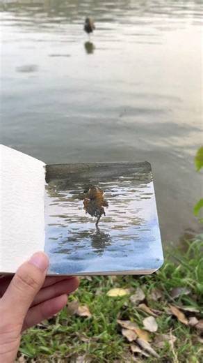 Turning This Bird Reflection Into a Tiny Painting 🎨🐦