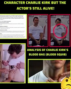 Flat Earth Library on Reels