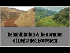 Rehabilitation and Restoration of Degraded Ecosystem Agroecology