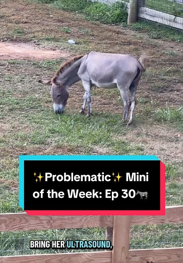 Problematic Mini of the Week: Ep 30 — Katie Van Slyke highlights