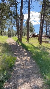 It’s National Trails Day! Throw on your hiking boots, grab your trekking poles, and let’s take a walk together! Here at the tower we have five hiking trails that each offer a little something different. With so much variety, you’re sure to find a trail you’ll enjoy! Tower Trail: 1.6 mile loop Our most popular trail, and for good reason! On this paved trail around the whole base of the Tower you’ll get a closeup view of each side, you’ll even get close enough to touch it! Follow the interpretive 