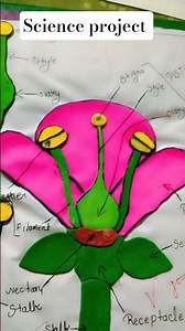 Science file idea#shorts