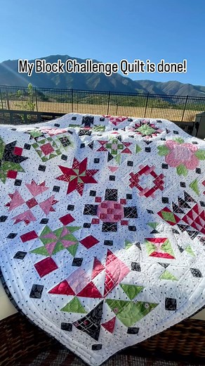Jill Finley on Instagram: "This years block challenge from Riley Blake Designs was extra special. I love how this quilt turned out! Maybe it’s the fabric or maybe the darling block designs? All of the block patterns are free—available to download on the RBD site. Each block designed by a different designer. I made my quilt using fabrics from my Flour & Flower collection—and I still have kits available! You can order on my website. Have you made one this year? #jillilystudio #rileyblakedesigns #b