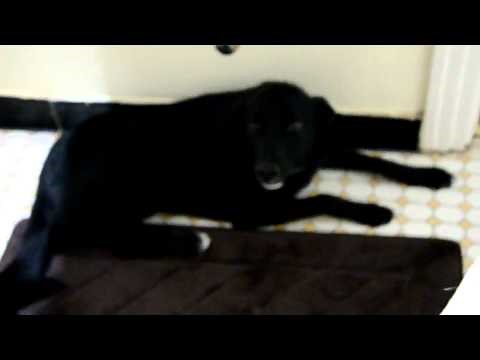 Ellie goes to time out