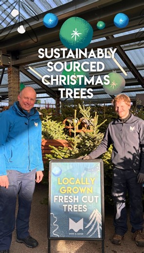 🎄 Our locally grown Christmas trees have arrived at Moss & Moor! Every tree is freshly harvested, sustainably sourced, and wrapped where possible in biodegradable twine. For every tree harvested, another is planted by Infinity Christmas Trees, so your festive choice helps the planet too. ♻️ Our friendly team is here to help you choose the perfect tree, and after Christmas, you can recycle your tree right here with us. ✨ And there’s a little extra festive magic – for every tree purchased, you’ll