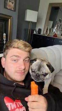 MON CHIEN A FAIT ÇA