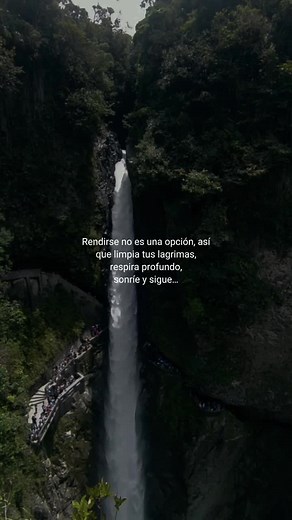 sonríe y Sigue 🌻✨#CapCutMotivacional #Motivacional #reflexaododia #CapCut