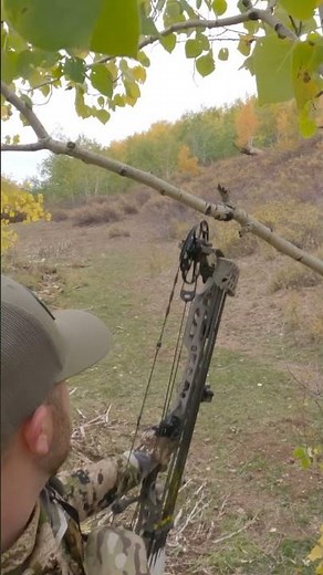 One of the most iconic elk hunting experiences we’ve captured on camera. #mathews