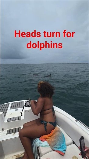 Hidden Gems of Panama City Beach. Flippin Awesome Adventures tours.
