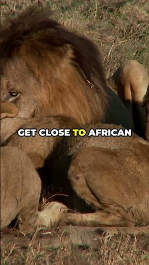 Top 5 Activities in Johannesburg