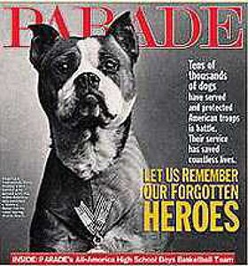 In Honor Of Memorial Day – 7 Famous Dogs Of War