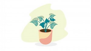 Houseplant Pot Nature Animation 4k Video Stock Footage Video (100% Royalty-free) 1102580107 | Shutterstock