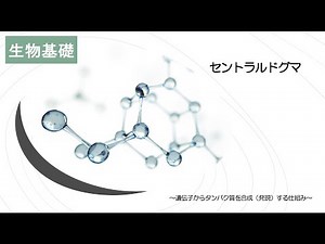 12生物基礎「セントラルドグマ」2023