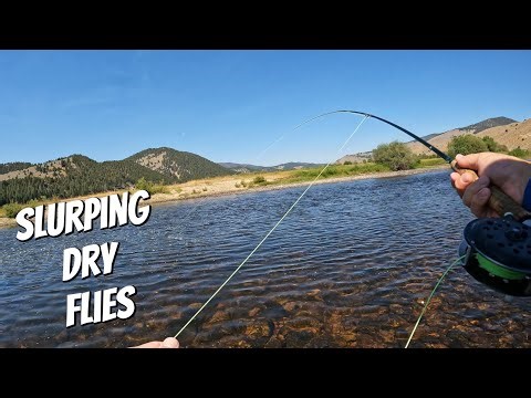 Fly Fishing the Big Hole River for Trout and Whitefish (Big Montana Trout on Dry Flies)