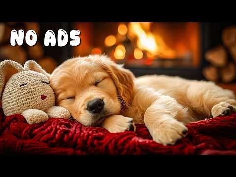 12 HOURS of Dog Calming Music🎵 Dog Soothing Music🐶 Separation Anxiety Relief⭐ Healingmate