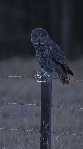 سورة البقرة | عبد الله أحمد شعبان - Surah Al-Baqarah | Abdullah Ahmed Shaaban