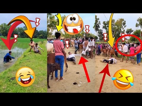 Real Life Comedy – Funny Strangers Caught! 🤣