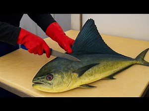 Mahi Mahi Filet for Grill