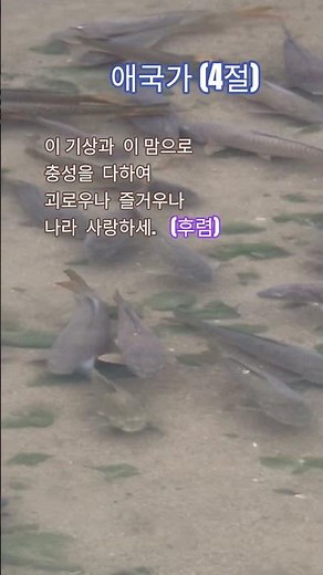 정확히 알기! 애국가 4절 . 가사 #나라사랑 #대한민국 #국민주권정부