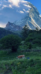 Zermatt travel highlights with haydennmzk