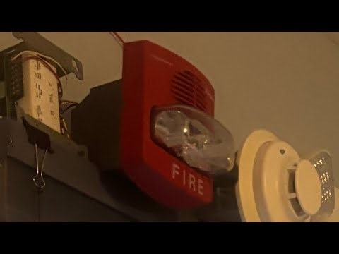 System Test 8 FT Simplex Truealert 4906-9127