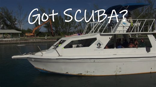 Got SCUBA?
