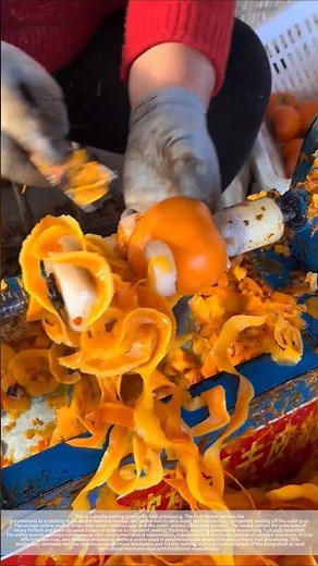 Persimmon peeling - good tools and machinery make work more efficient