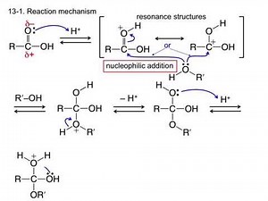 Fischer esterification from App "Organic Chemistry" Basic Reaction Mechanism