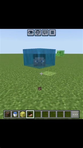 what is player head #minecraft #gaming #nobatidao